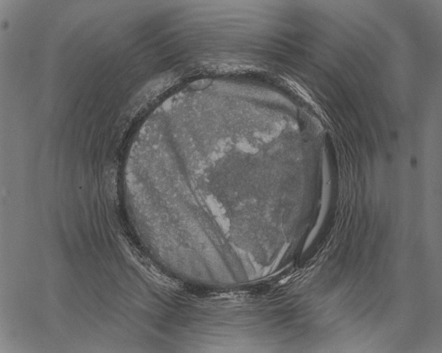 X0000062140447200601060927