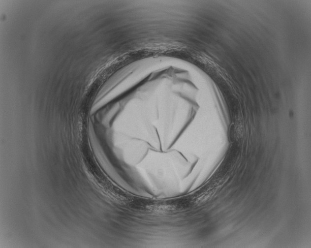 X0000062140448200601060927