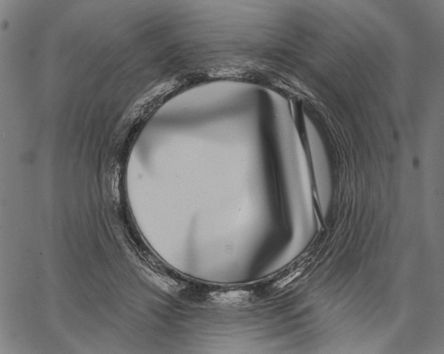 X0000062140452200601060927