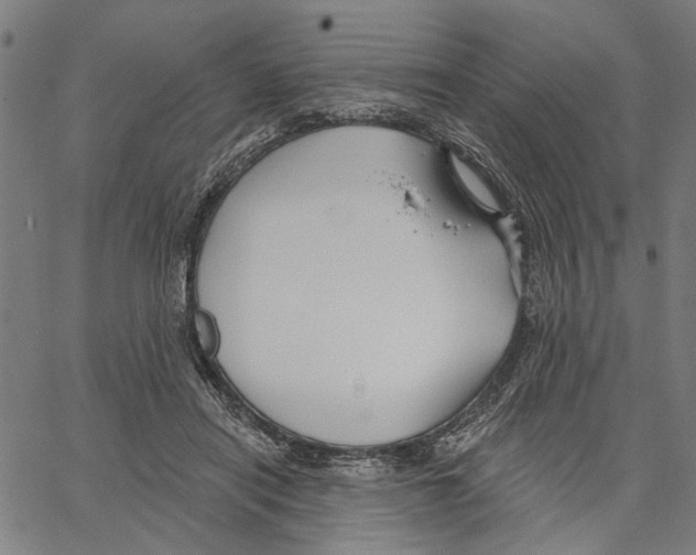 X0000062140454200601060927