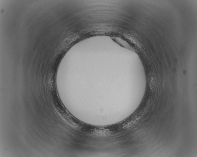 X0000062140455200601060927