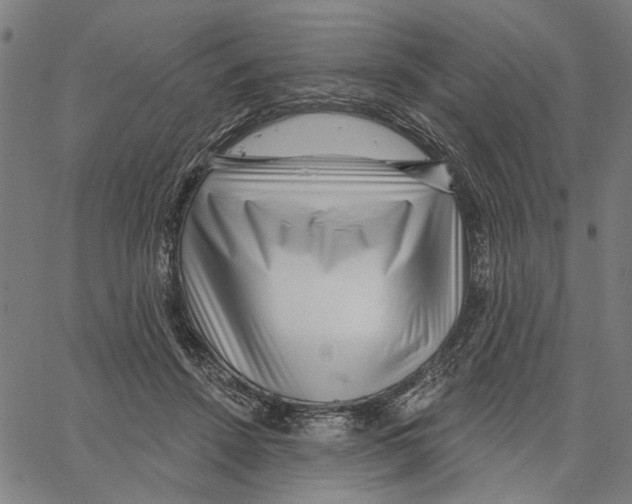 X0000062140456200601060927