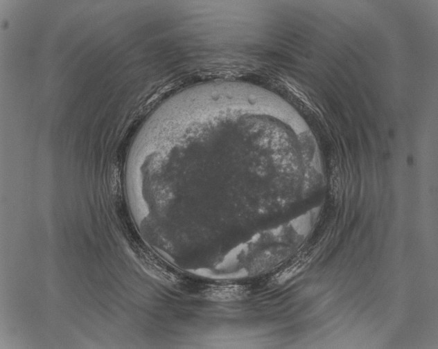 X0000062140459200601060927