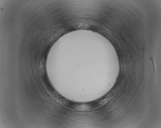 X0000062140460200601060927