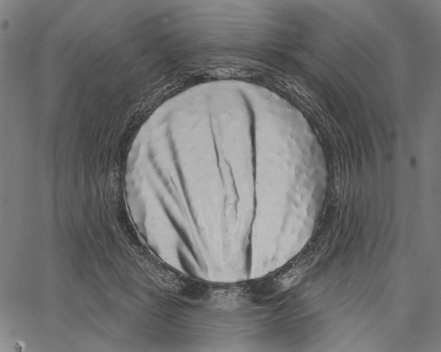 X0000062140461200601060927