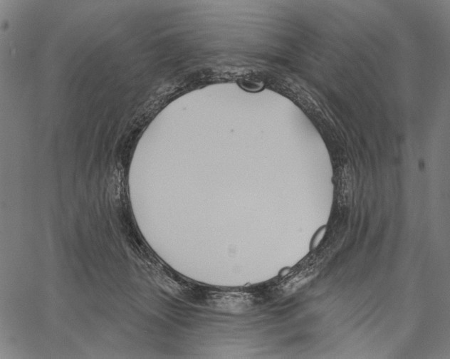 X0000062140463200601060928