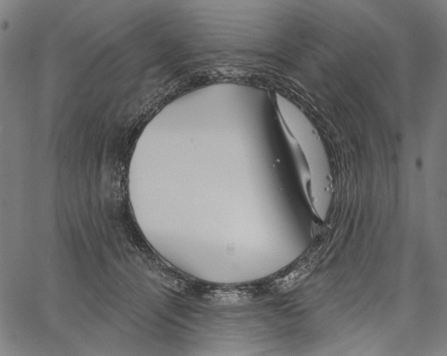 X0000062140464200601060928