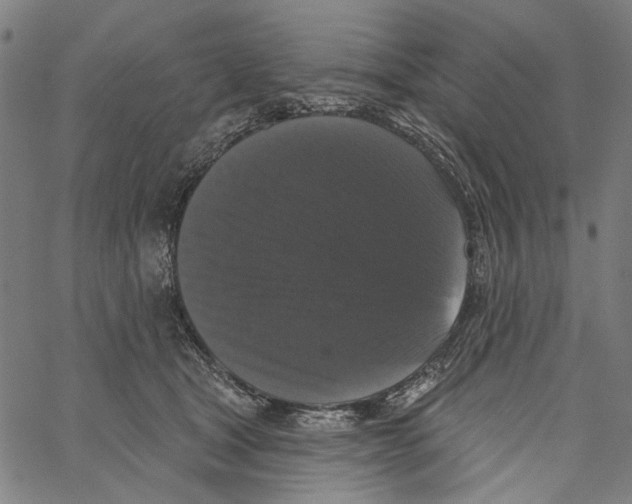 X0000062140465200601060928