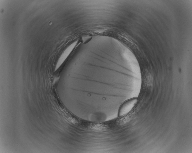 X0000062140467200601060928