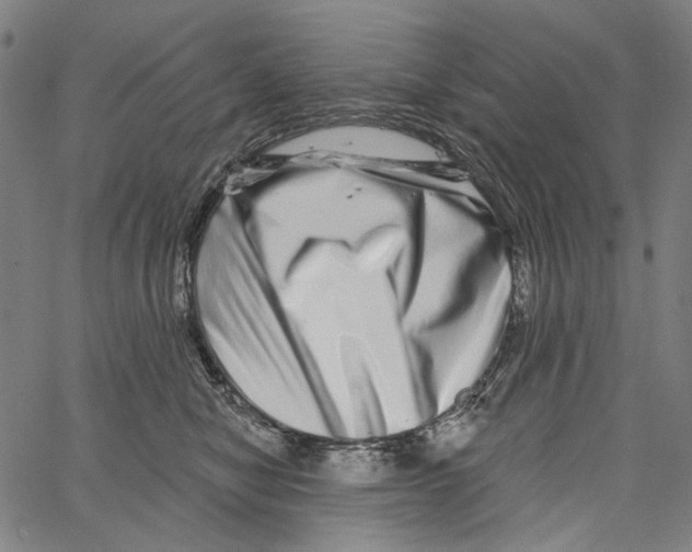 X0000062140470200601060928