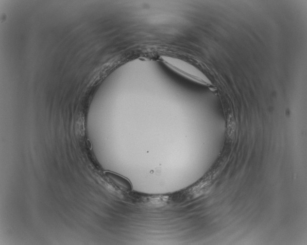 X0000062140474200601060928