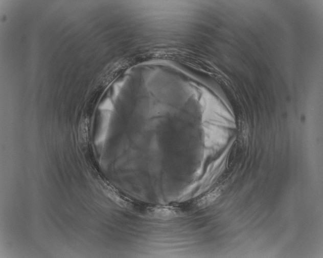 X0000062140475200601060928