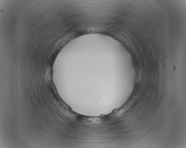 X0000062140478200601060928