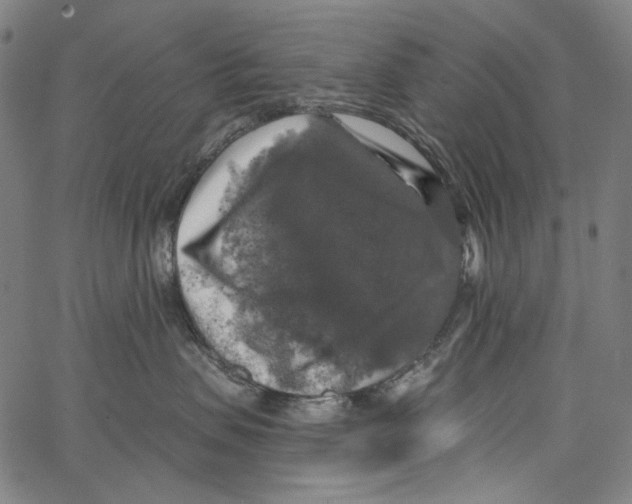 X0000062140479200601060928