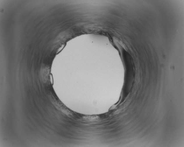 X0000062140480200601060928