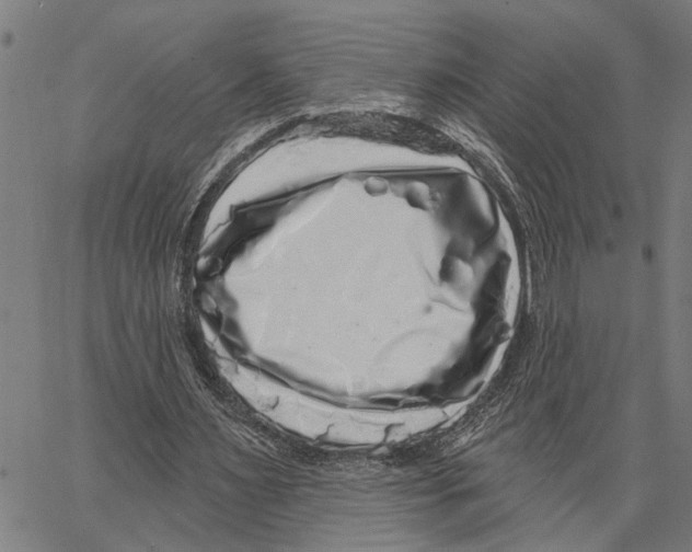 X0000062140483200601060927