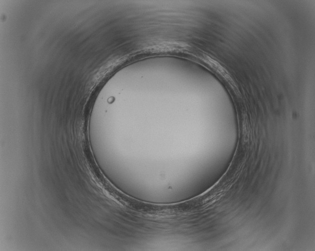 X0000062140485200601060927