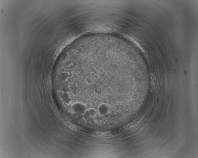 X0000062140487200601060927