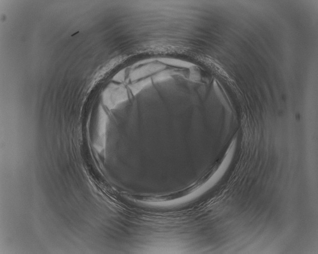 X0000062140488200601060927