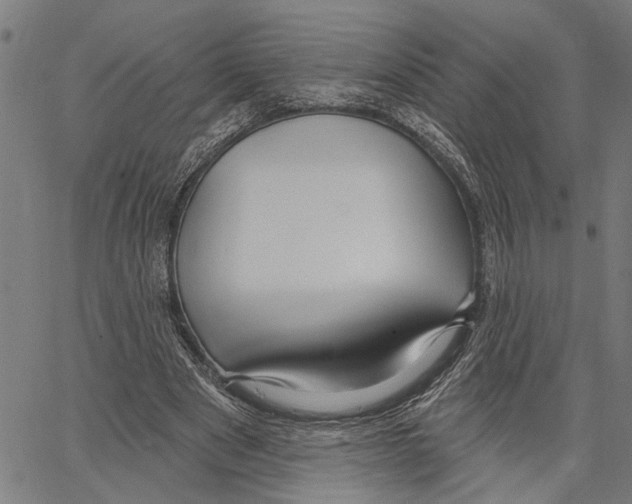 X0000062140489200601060927