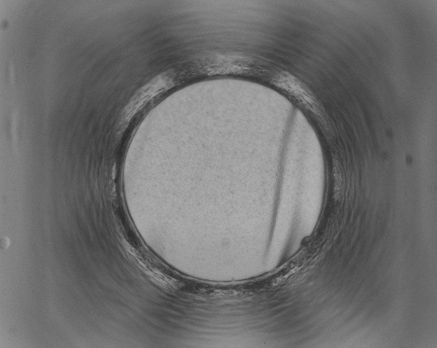 X0000062140490200601060927