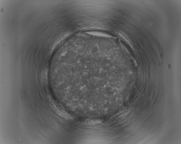 X0000062140491200601060927