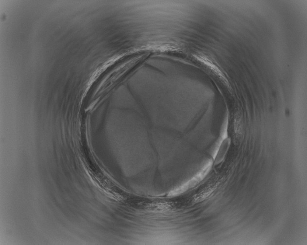 X0000062140492200601060927