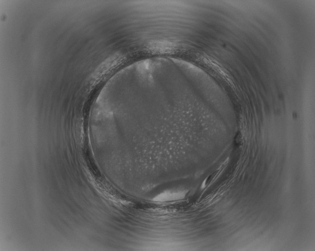 X0000062140494200601060927