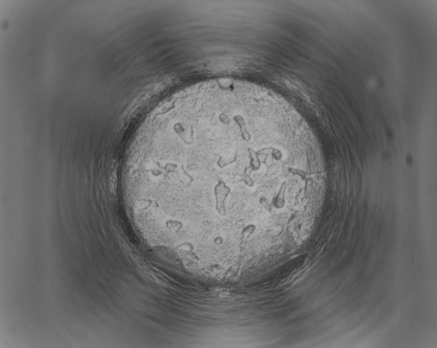 X0000062140495200601060927