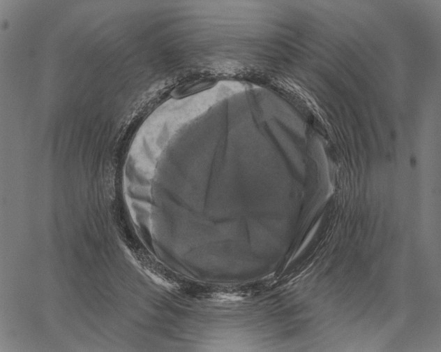 X0000062140496200601060927