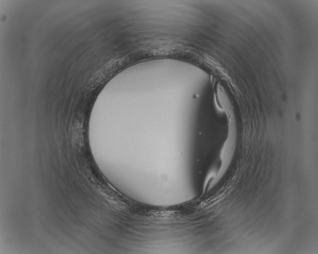 X0000062140497200601060927