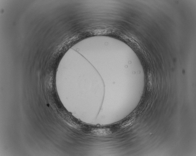 X0000062140499200601060927