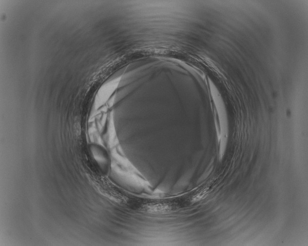 X0000062140500200601060927