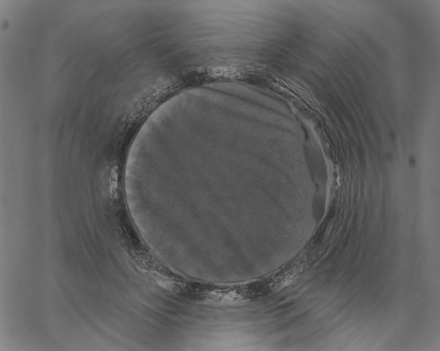 X0000062140502200601060927