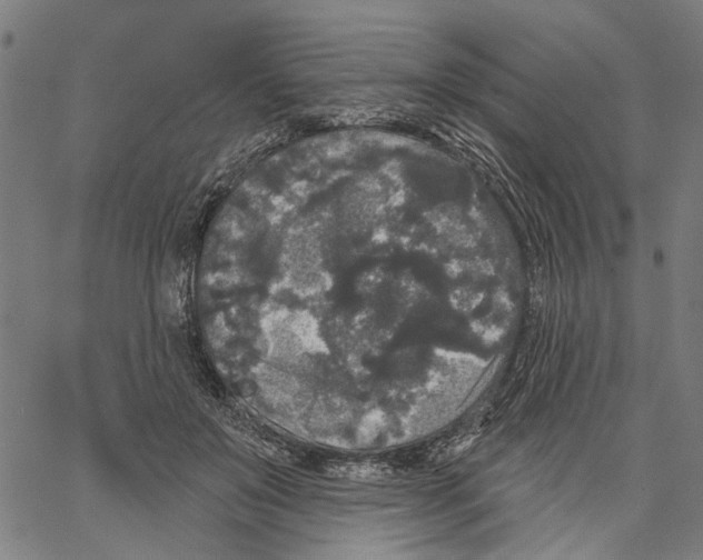 X0000062140503200601060927