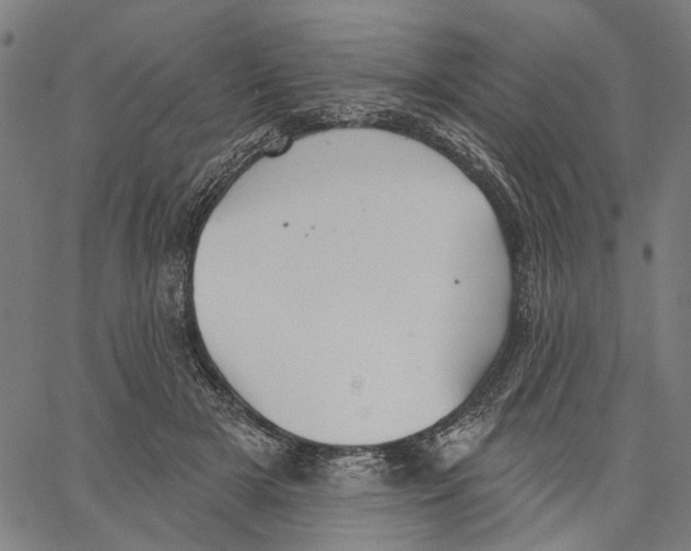 X0000062140505200601060927