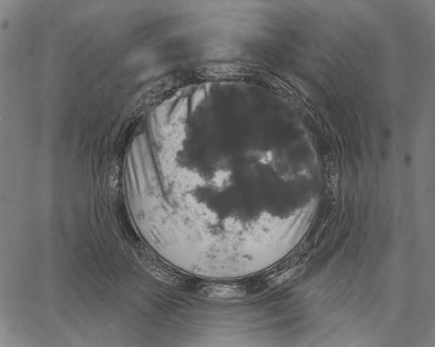 X0000062140507200601060927