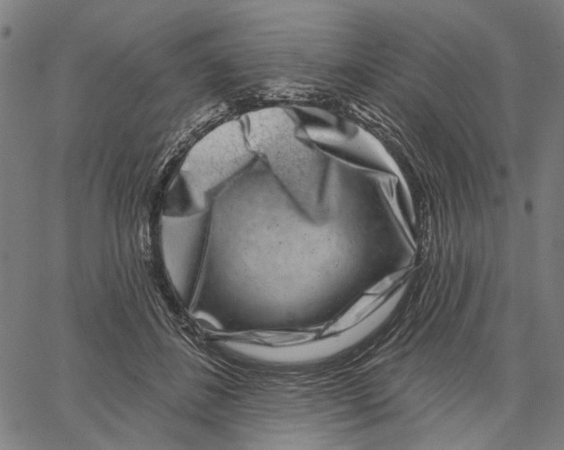 X0000062140508200601060927