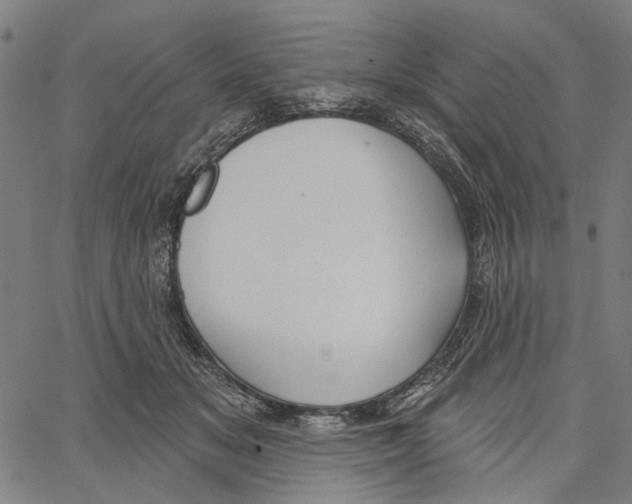 X0000062140509200601060927