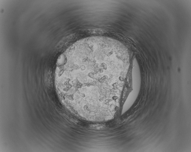 X0000062140511200601060926