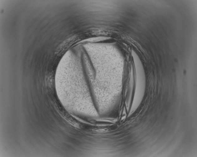 X0000062140513200601060926