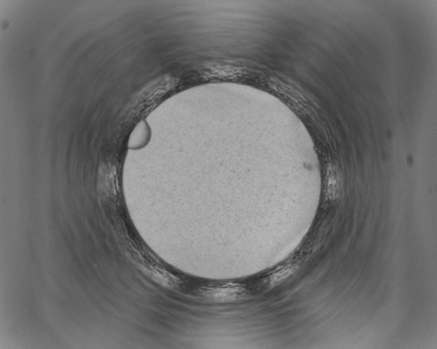 X0000062140514200601060926