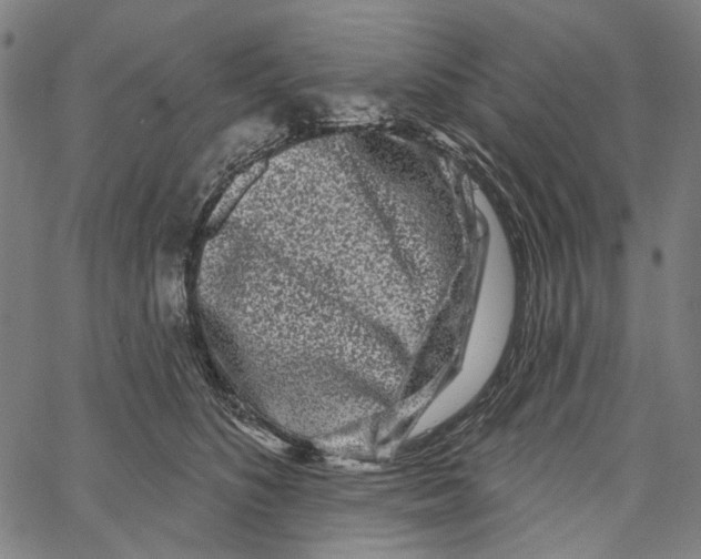 X0000062140516200601060926