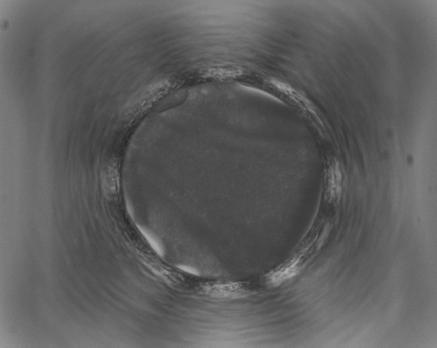 X0000062140517200601060926