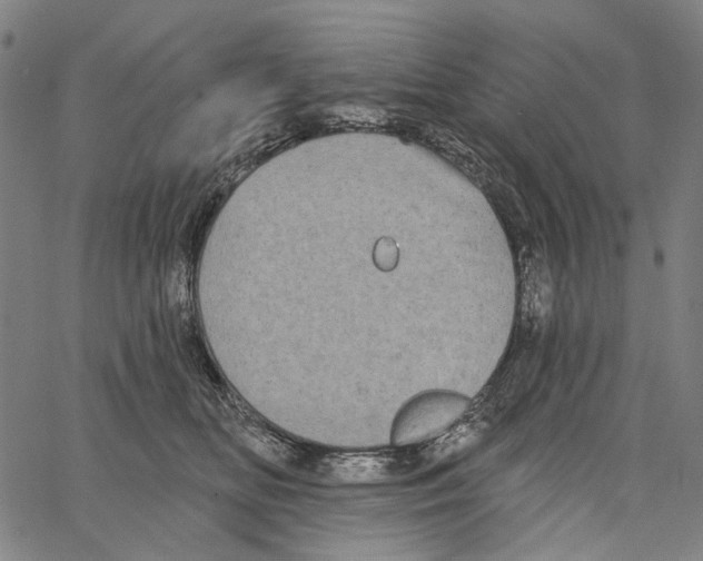 X0000062140518200601060926