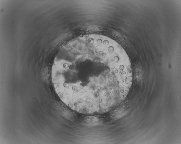 X0000062140519200601060926