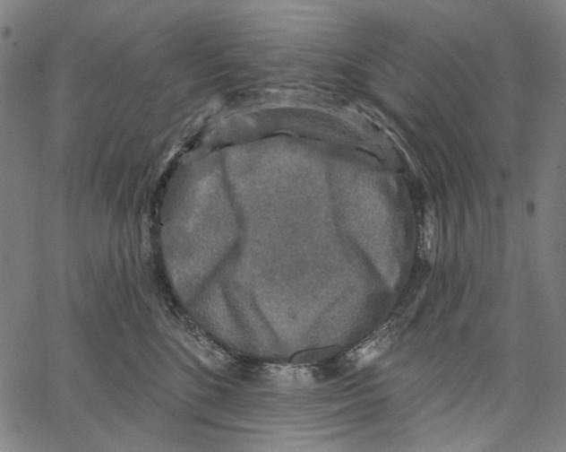 X0000062140520200601060926