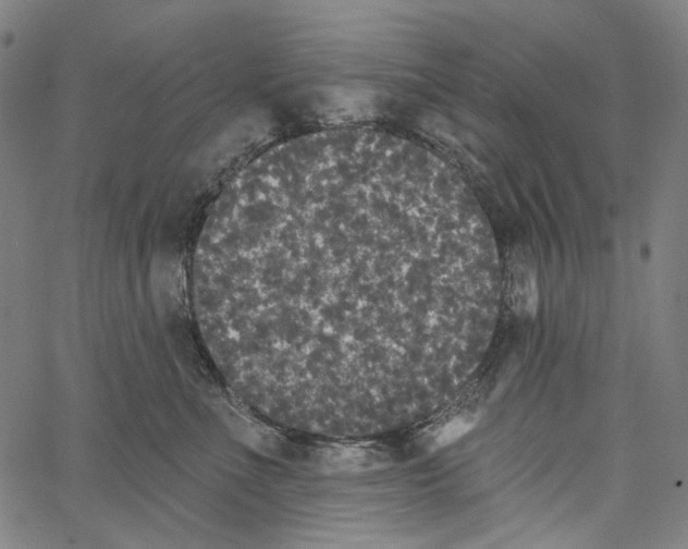 X0000062140523200601060926