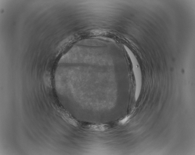 X0000062140524200601060926