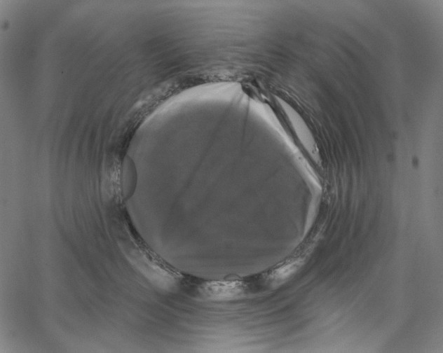 X0000062140526200601060926